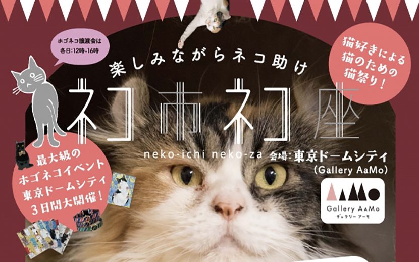 東京ドームシティで日本最大級ホゴネコイベント ネコ助かる猫祭り ネコ市ネコ座 7月14日15日16日 初開催 月刊イベントマーケティング 展示会 イベント Miceの総合サイト